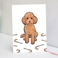 Red Toy Poodle Christmas Card