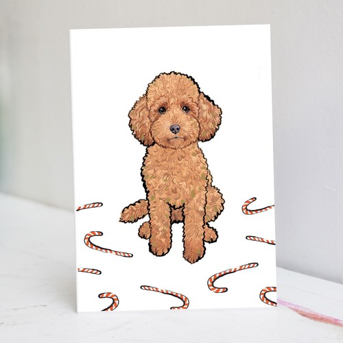 Red toy poodle christmas - toy, card