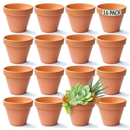Green thumbz terracotta plant - thumbz,