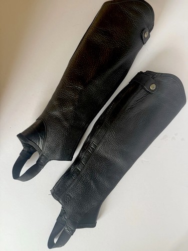 Ariat concord leather half - ariat,