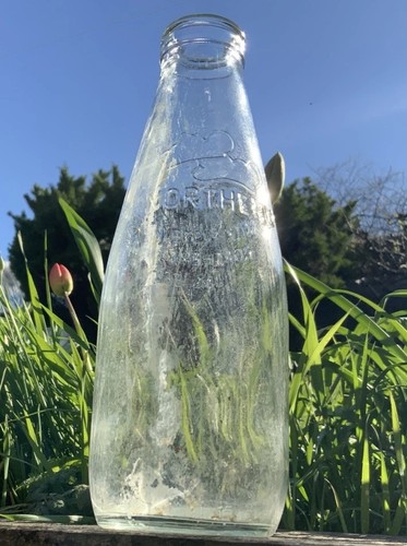 Vintage milk bottle one - vintage,