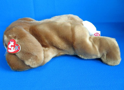 Large brown bunny rabbit - brown,