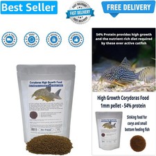 Corydoras Catfish High Growth