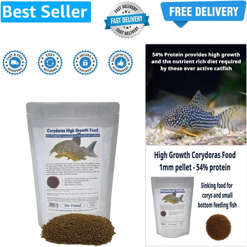 Corydoras catfish high - high, growth