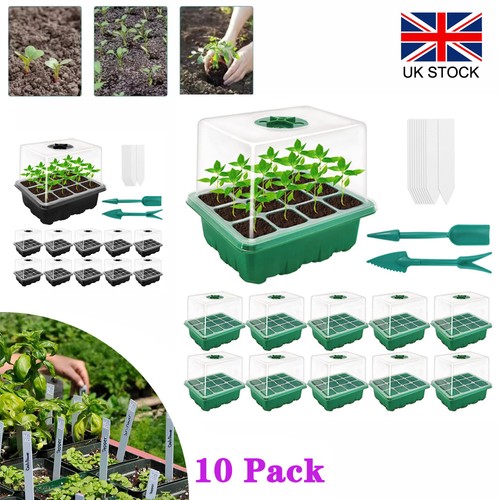 Pack plant seed starter - 10,