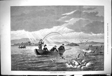 Antique Old Print 1875 Trout