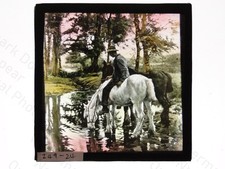 Man Watering Horses Woodland
