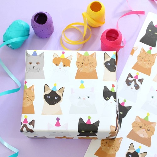 Party cat birthday gift - party,