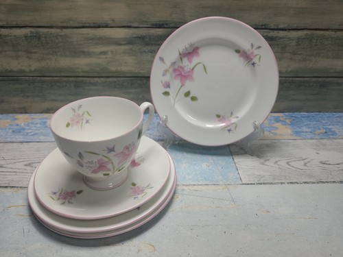 Royal grafton bone china - bone,