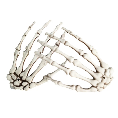 Super real halloween skeleton - real,