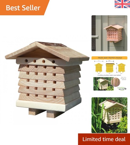 Durable solitary bee - solitary,