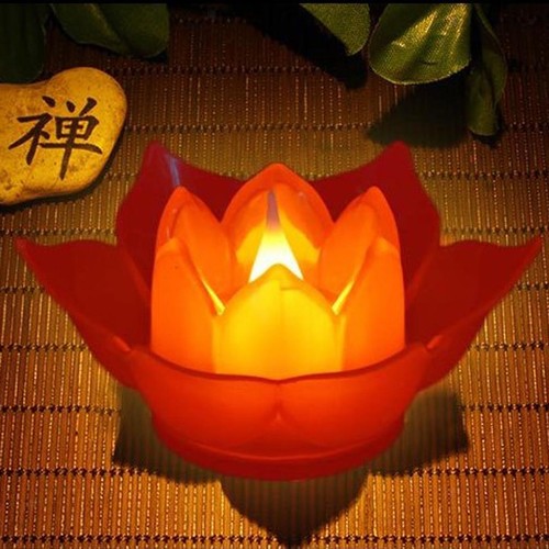 Romantic lotus flower night - romantic,