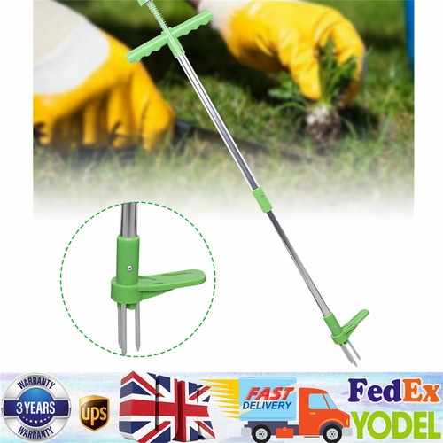 Weed cutter dandelion - weed,