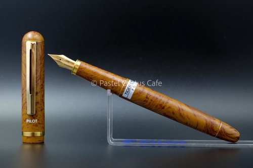 Pilot tiger eye f nib - "tiger,