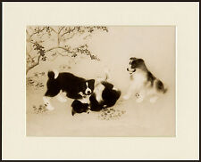AKITA PUPPIES AT PLAY CHARMING