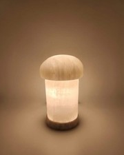 Enchanted Glow: Selenite
