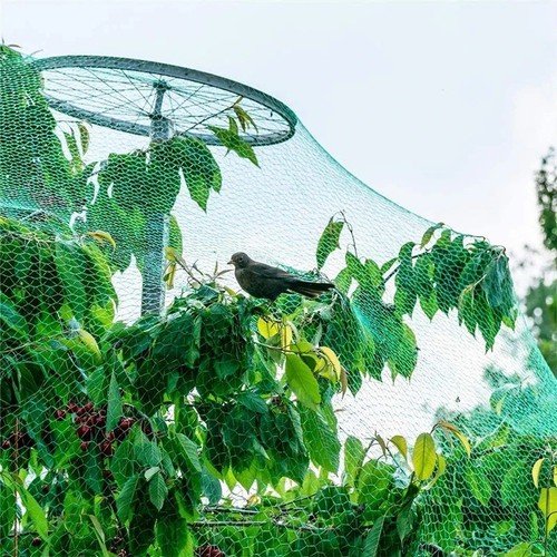 4x10m garden netting green - 4x10m,