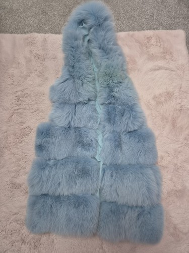 Real vulpes fox - real,