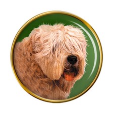 Soft Coated Wheaten Terrier