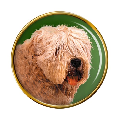 Soft coated wheaten terrier - coated,