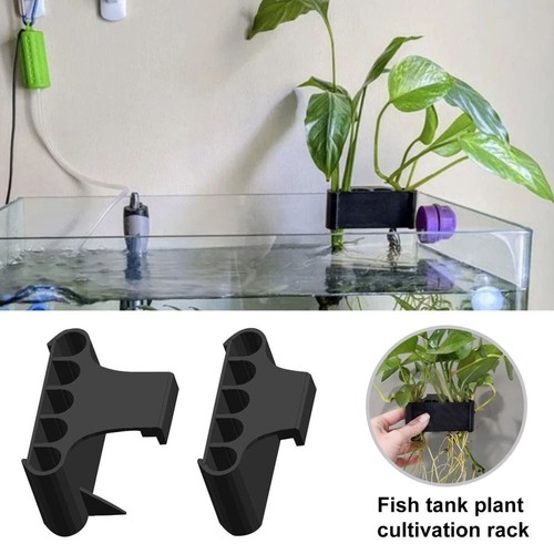 2pc aquarium fish - aquarium,