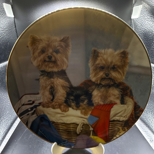 Danbury mint limited edition - limited,