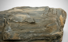 Wooden Stone Petrified Wood Rock Aquarium Decor Fish Tank Aquascape Hardscape