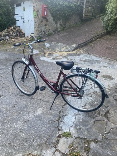 Ladies unisex bicycle bike - ladies,
