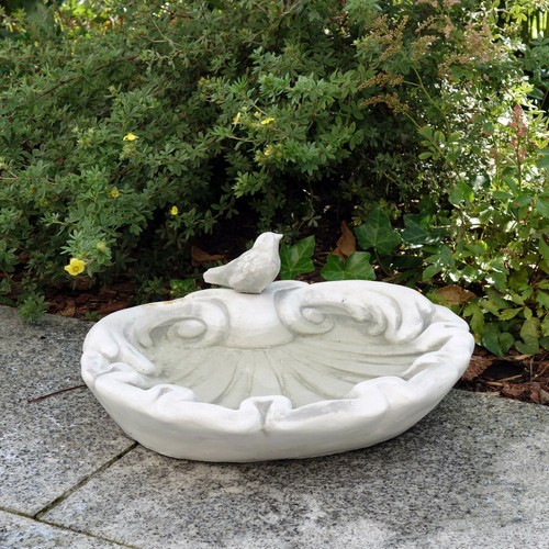 Drinking bowl birds - drinking, birdbath