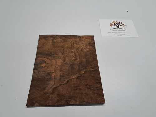 Burr walnut veneer 1 - burr,