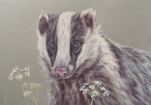 Badger original painting by - painting,