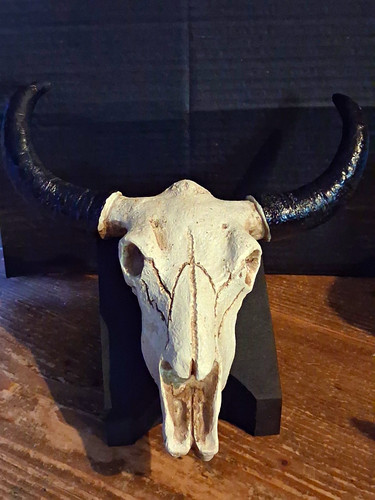 Skull decorative sculpture - skull,