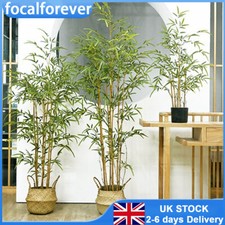 60cm Artificial Bamboo Tree