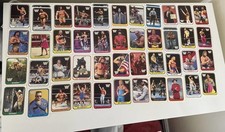 WWF 1991 Merlin English