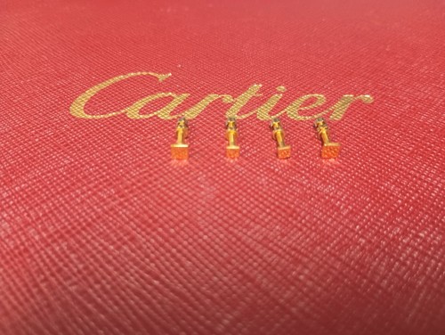 Cartier screws for any wood