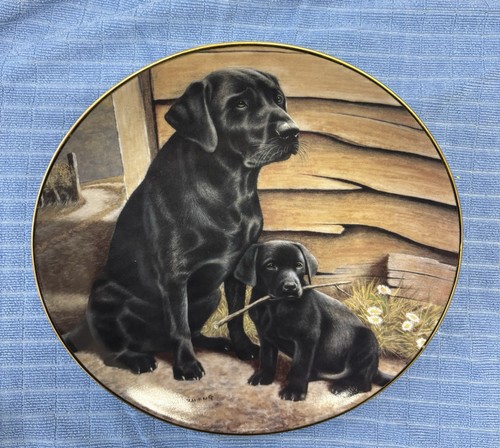 Franklin mint labrador - franklin,