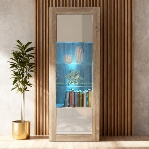 Display cabinet bookcase - cabinet,