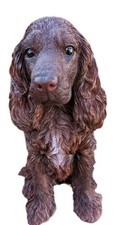 Chocolate brown cocker - chocolate, spaniel