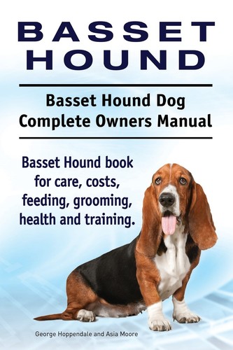 Basset hound dog - basset,