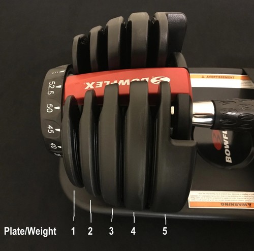 Bowflex selecttech 552 - bowflex,