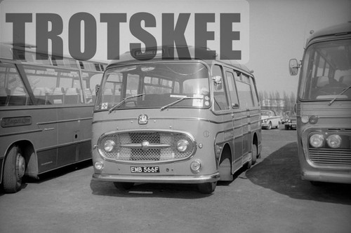 35mm negative bostock - 35mm,
