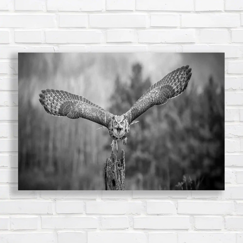 Majestic grey horned - majestic,