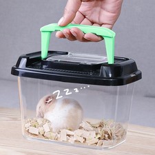 Reptile Cricket Keeper Reptile