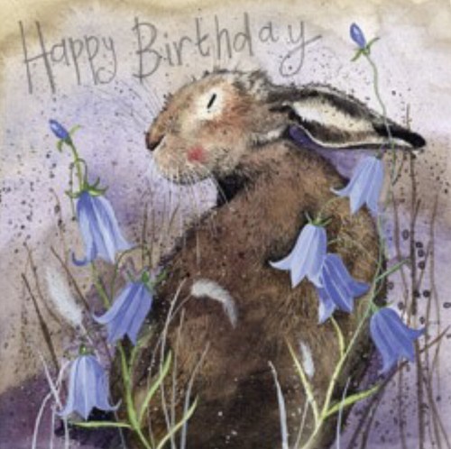 Alex clark hare - hare, &