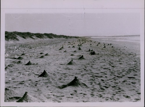 Ld203 1960 original - original, photo