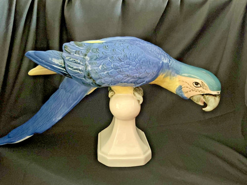 Royal dux parrot - royal,