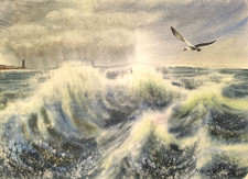 BIRDS CLOUDY SKY SEA WAVES