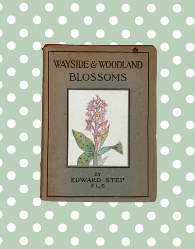 Wayside woodland blossoms - &,