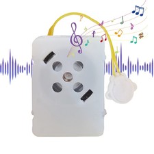 Voice Box Recordable Sound