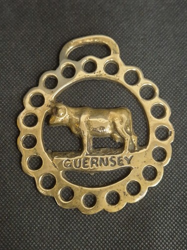 Guernsey cow channel - -,